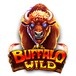 logo of Panda Link-Buffalo Wild - proskillgames.com